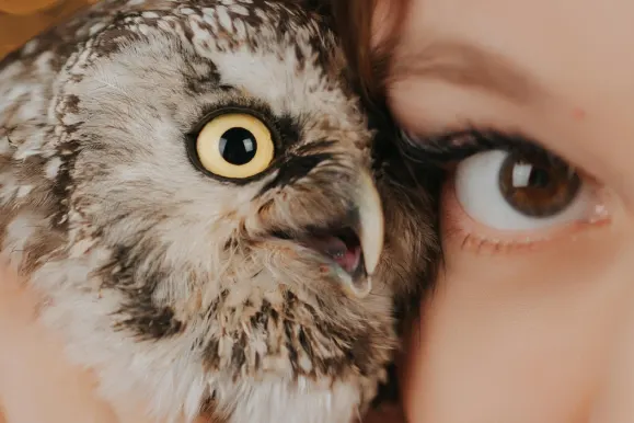 Casino Fever Bingo Tacaíocht